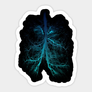 Aqua Lungs Sticker